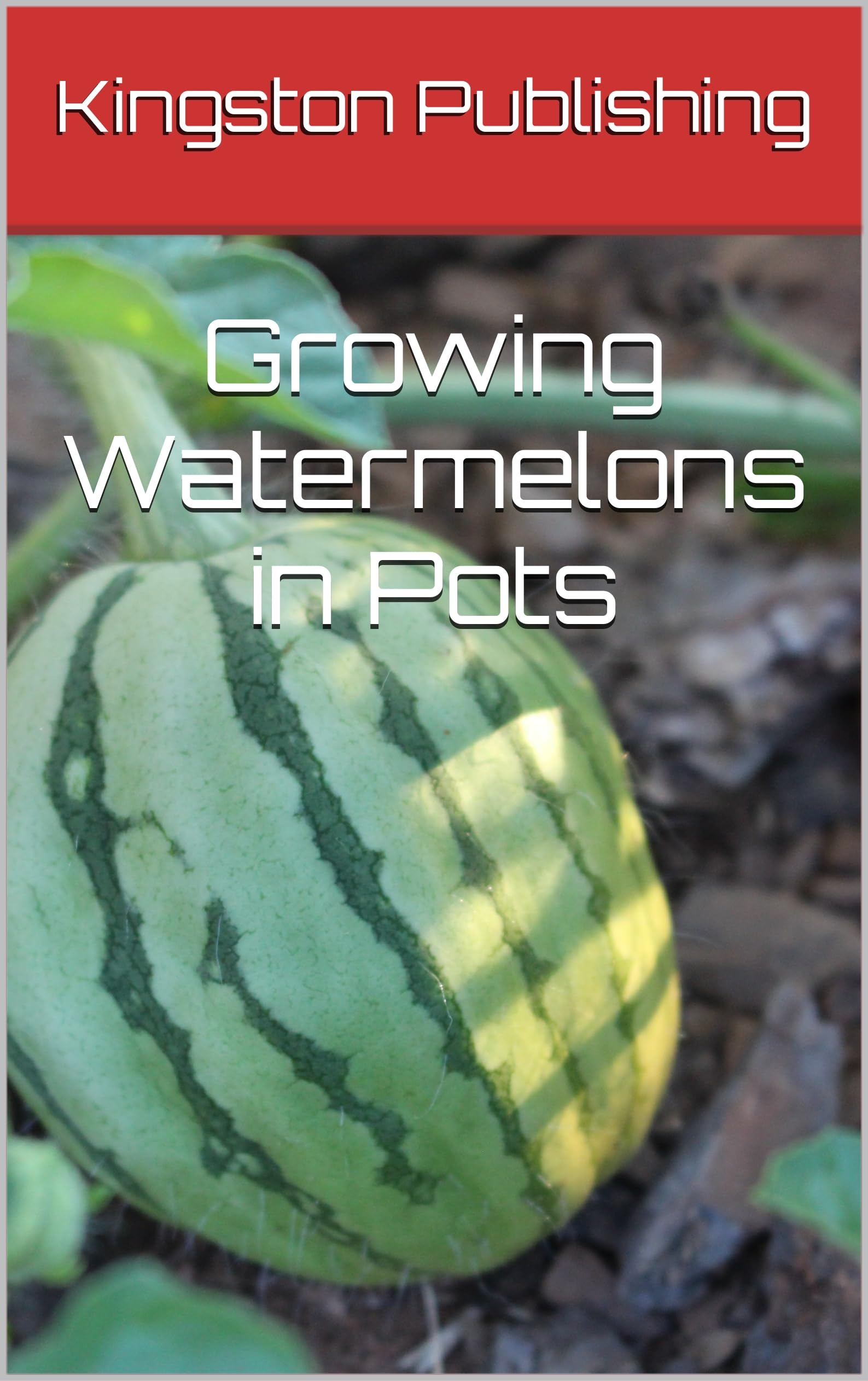 Growing Watermelons in Pots OHFB