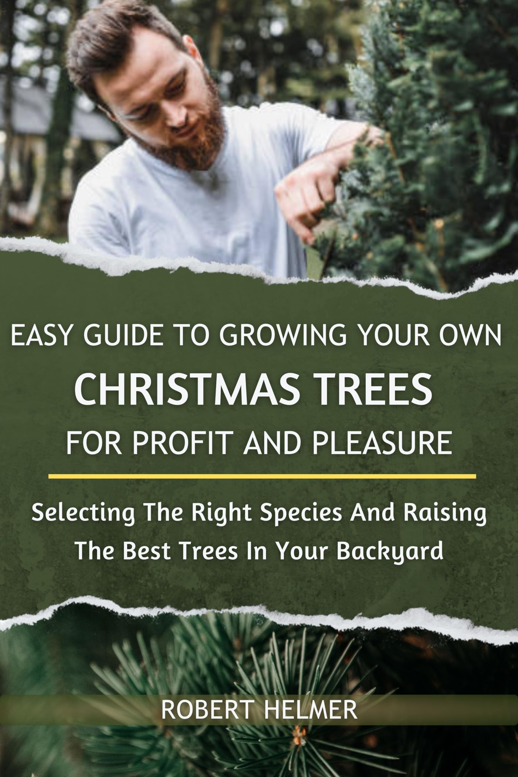 Easy Guide to Growing Your Own Christmas Trees for Profit and Pleasure