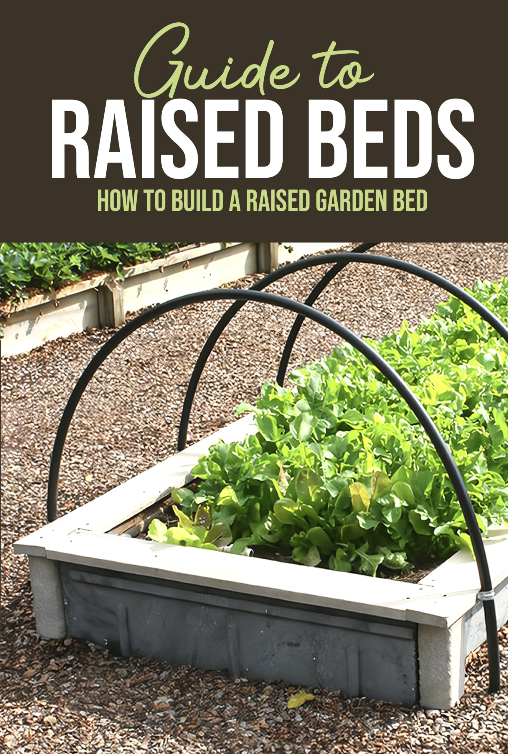 Guide to Raised Beds How to Build a Raised Garden Bed the Complete