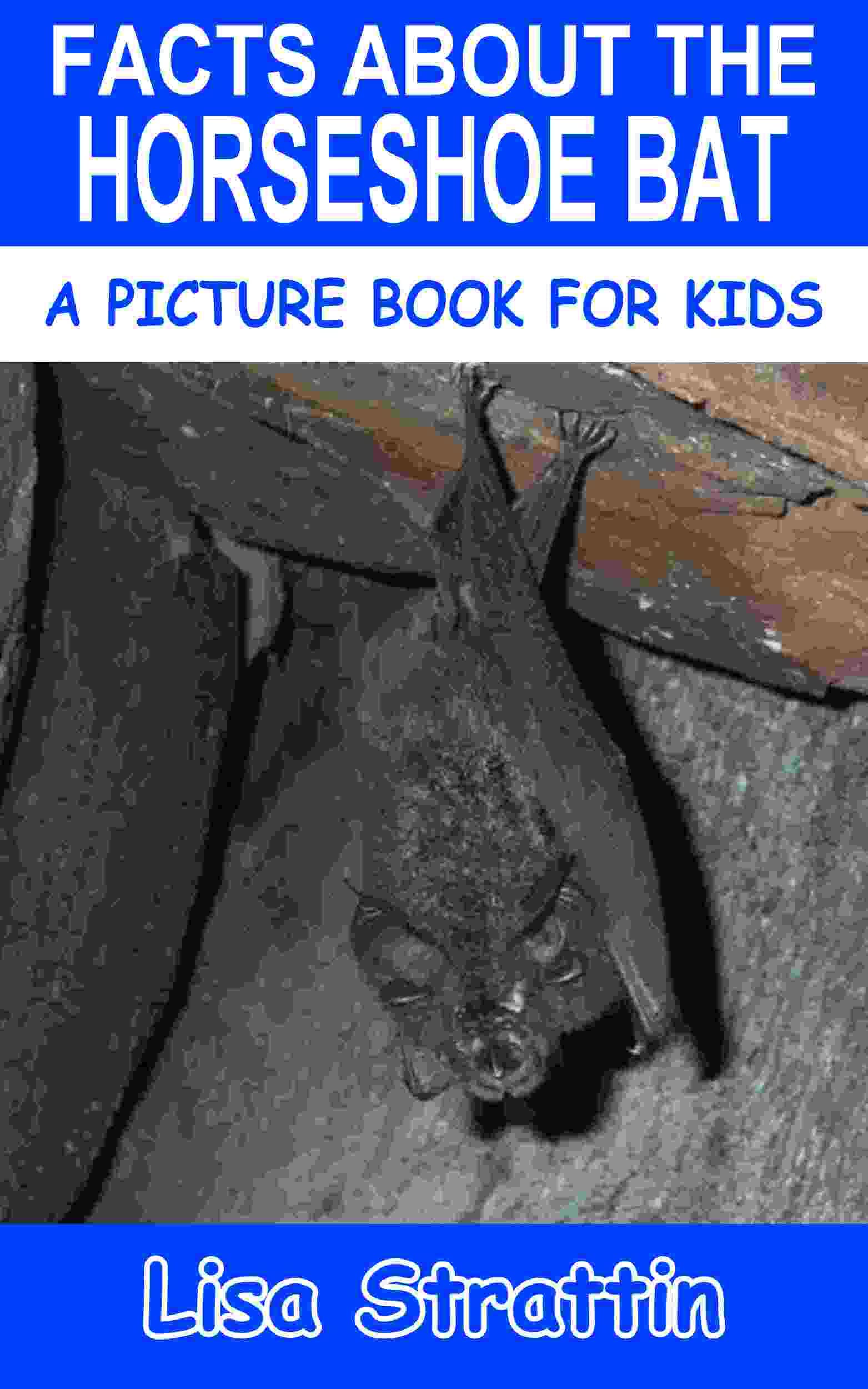 Facts About the Horseshoe Bat OHFB