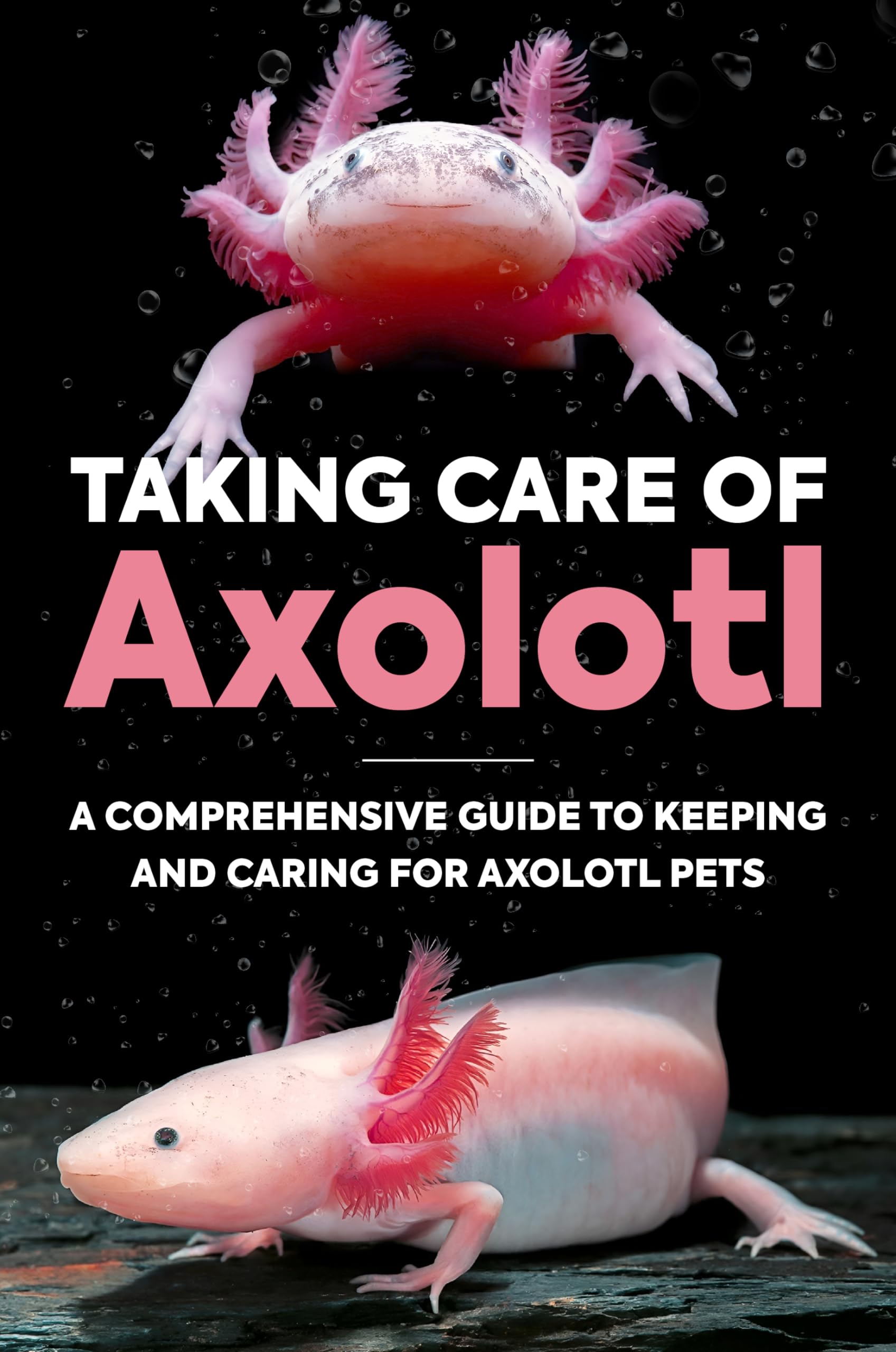 Taking Care of Axolotl a Comprehensive Guide to Keeping and Caring for Axolotl Pets How to