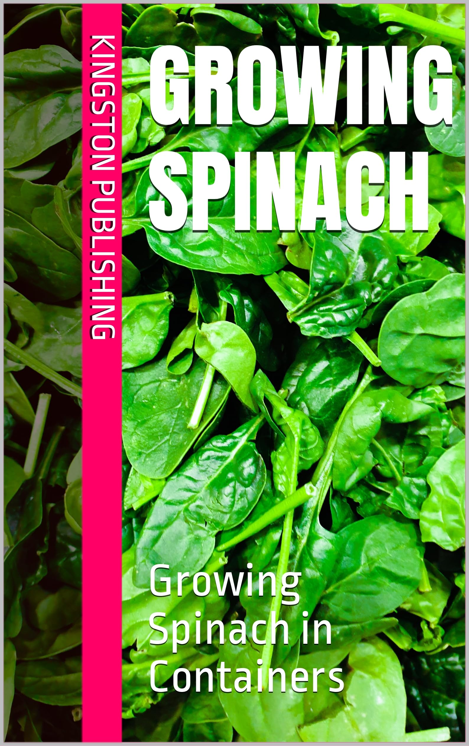 Growing Spinach Growing Spinach in Containers OHFB