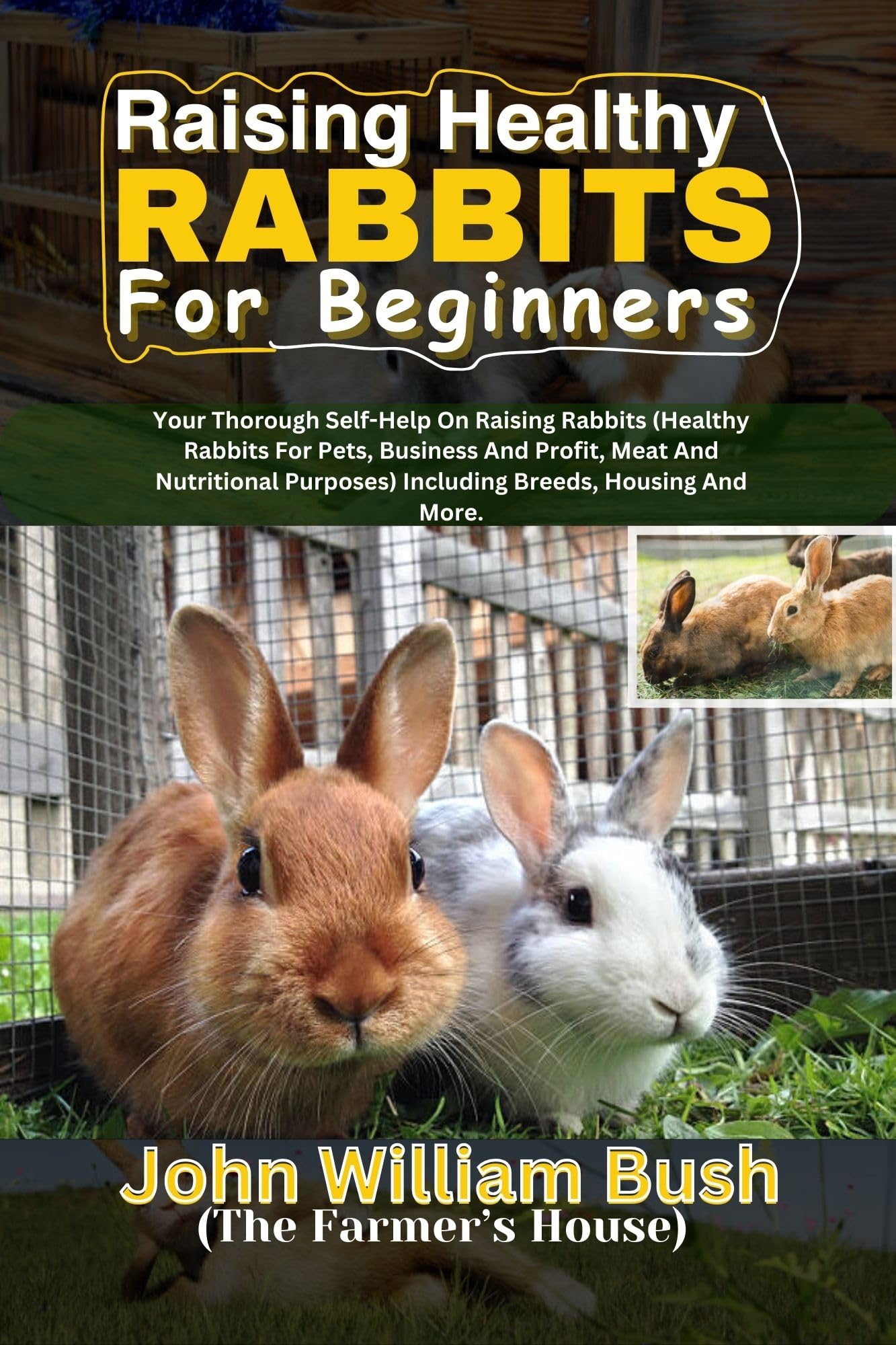 Raising Healthy Rabbits for Beginners: Your Thorough Self-help on ...
