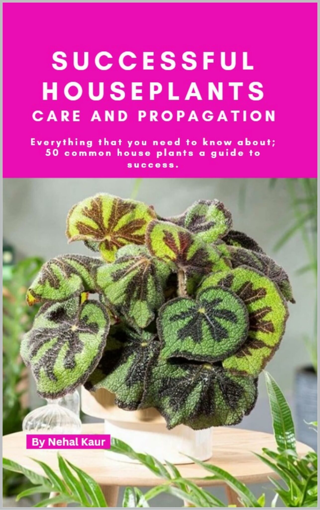 Successful Houseplants Care and Propagation Everything That You Need
